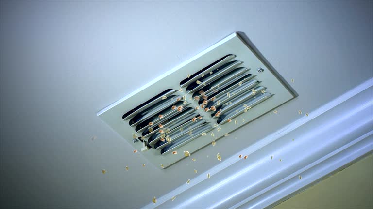 Best Home Air Vent Cleaning  in Downey, CA
